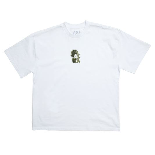 LSA Plant Box Boi - Adult - Box Tee